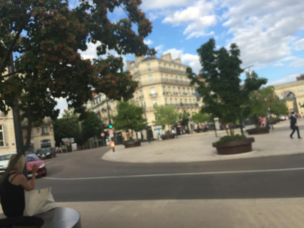 Ideal Art Deco Compris Un Parking Prive Securise Darcy Liberte Centre Gare-Ville Dijon Exterior foto