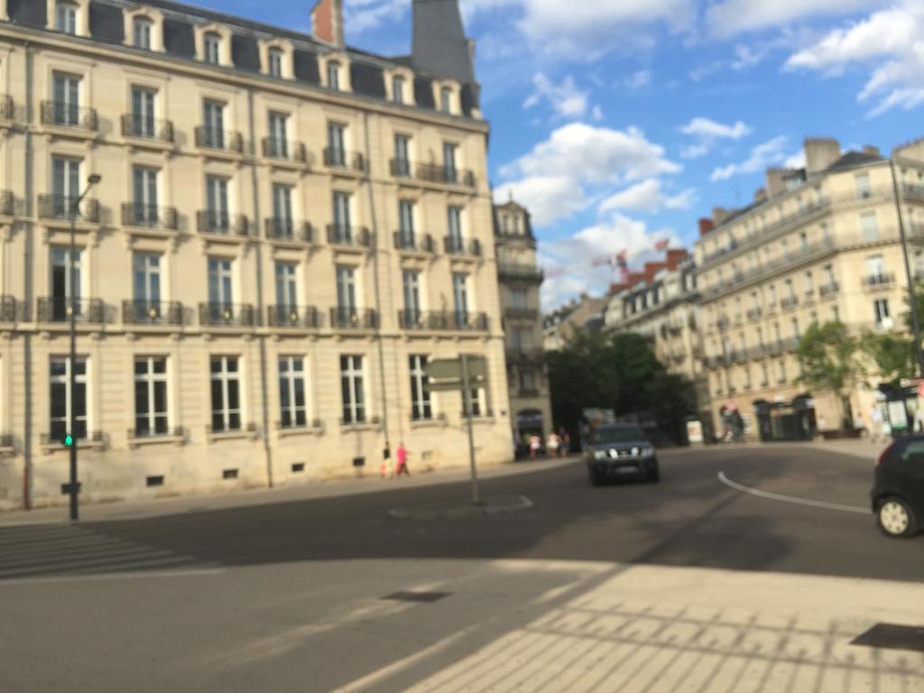 Ideal Art Deco Compris Un Parking Prive Securise Darcy Liberte Centre Gare-Ville Dijon Exterior foto